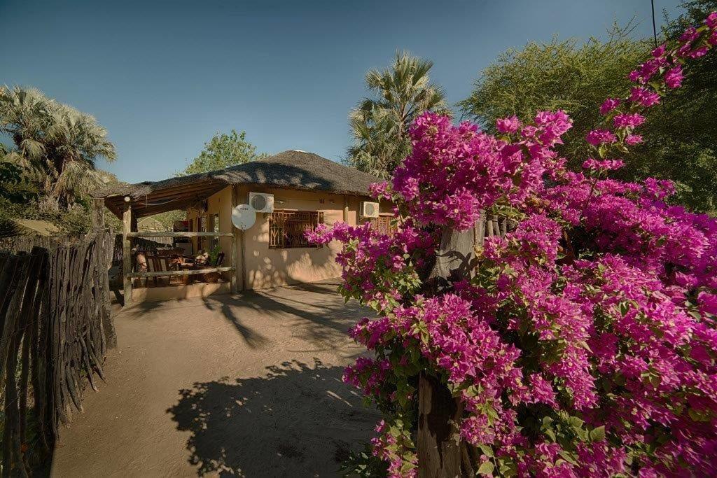 Hotel Motsebe Backpackers Maun Exterior foto