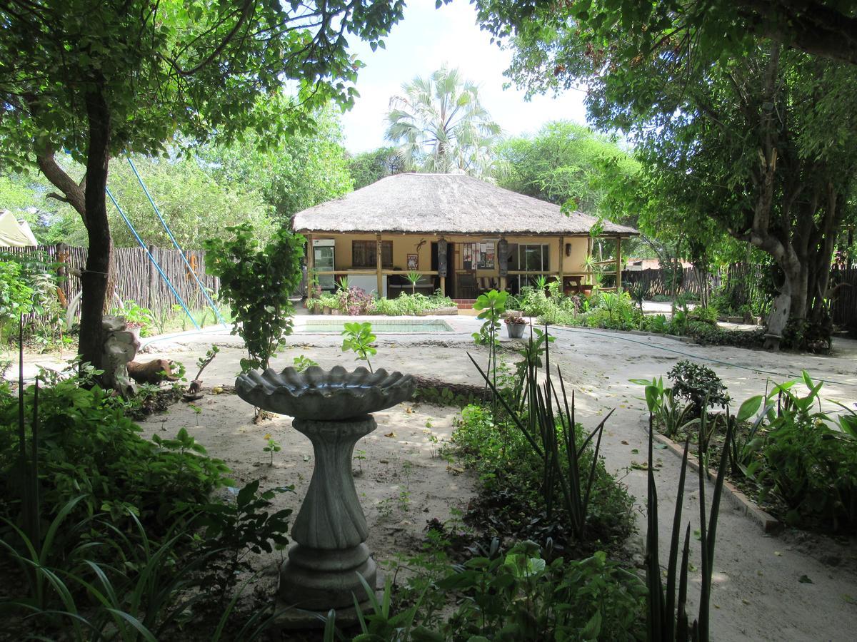 Hotel Motsebe Backpackers Maun Exterior foto
