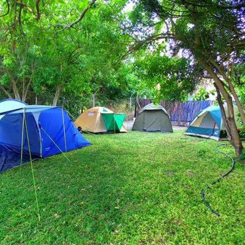 Hotel Motsebe Backpackers Maun Exterior foto