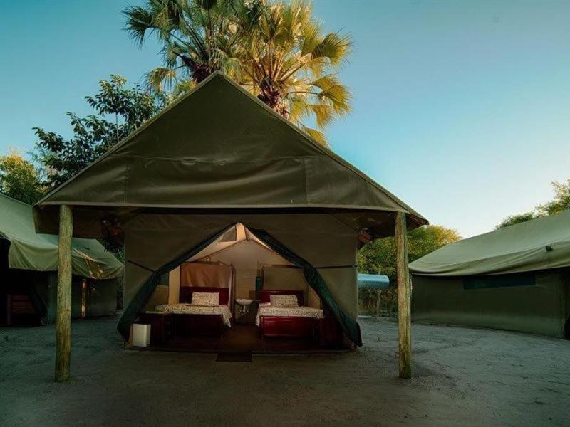 Hotel Motsebe Backpackers Maun Exterior foto