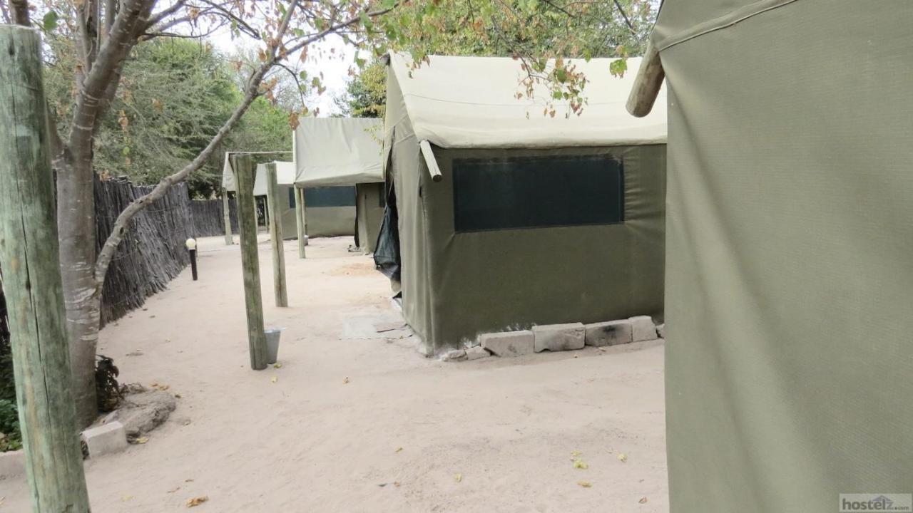 Hotel Motsebe Backpackers Maun Exterior foto