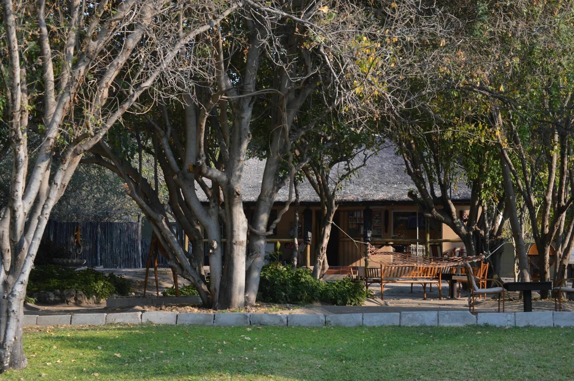 Hotel Motsebe Backpackers Maun Exterior foto