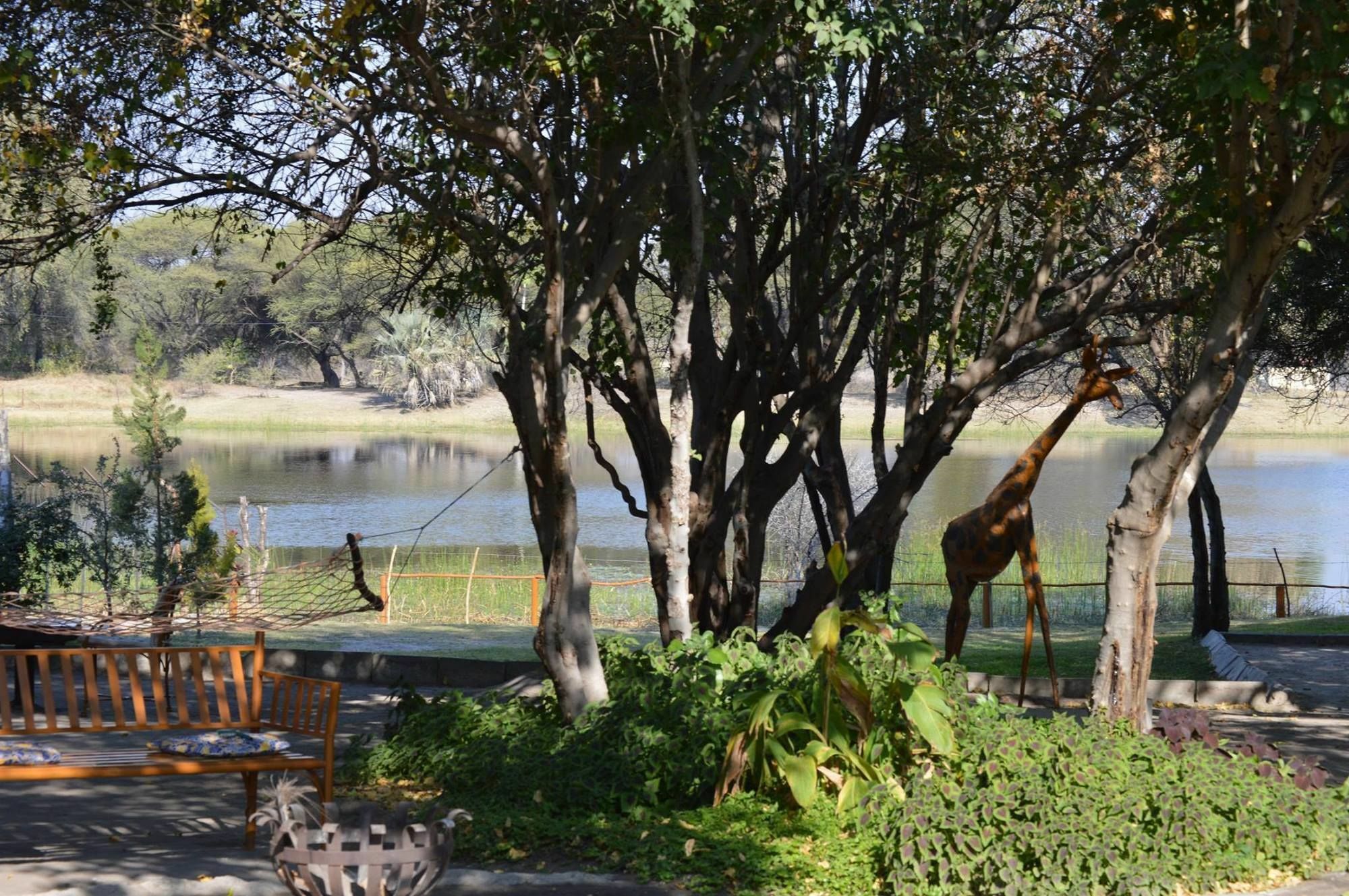 Hotel Motsebe Backpackers Maun Exterior foto